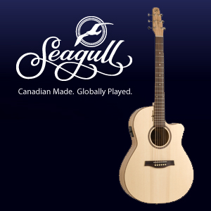 Seagull