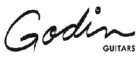 GODIN